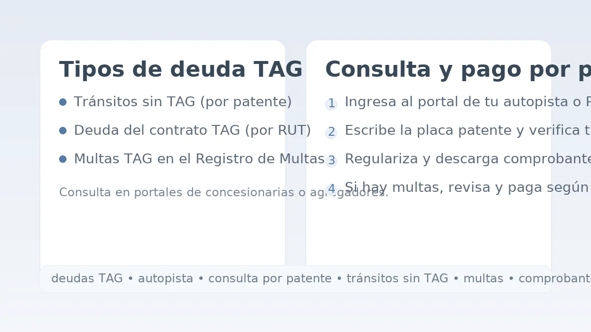 Tipos de deuda TAG y pasos para consultar y pagar por patente en portales de autopistas o agregadores.