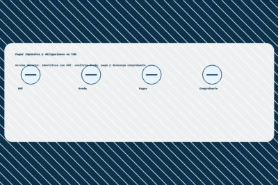 Pagar en TGR: acceso directo con RUT, confirmación de deuda, pago y comprobante – guía práctica